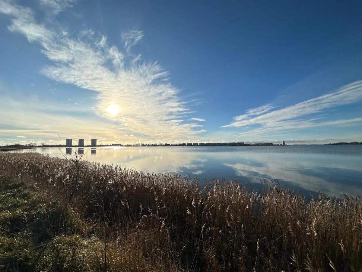 Strandlaeufer Burgtiefe auf Fehmarn Esterno foto
